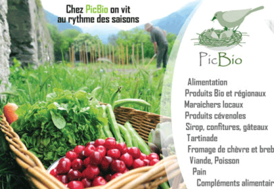 PicBio - Lauret (Hérault) - Création de logo, flyer et site web