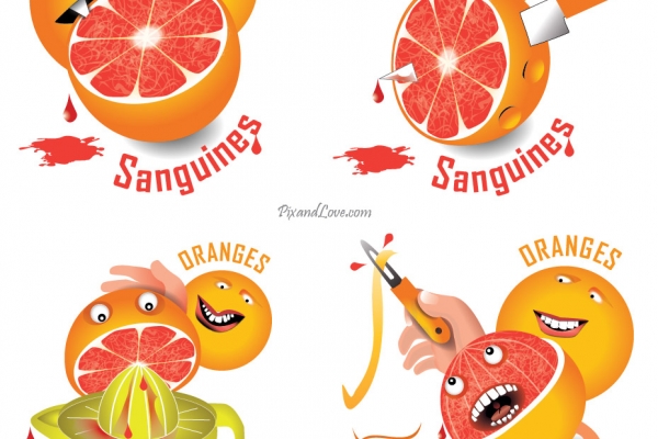 Illustration Oranges Sanguines